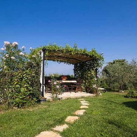 Rade Stancijeta Apartments Novigrad Istria Kültér fotó